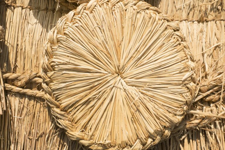 Understanding Tatami Mats: History, Uses, and How to Incorporate Them ...