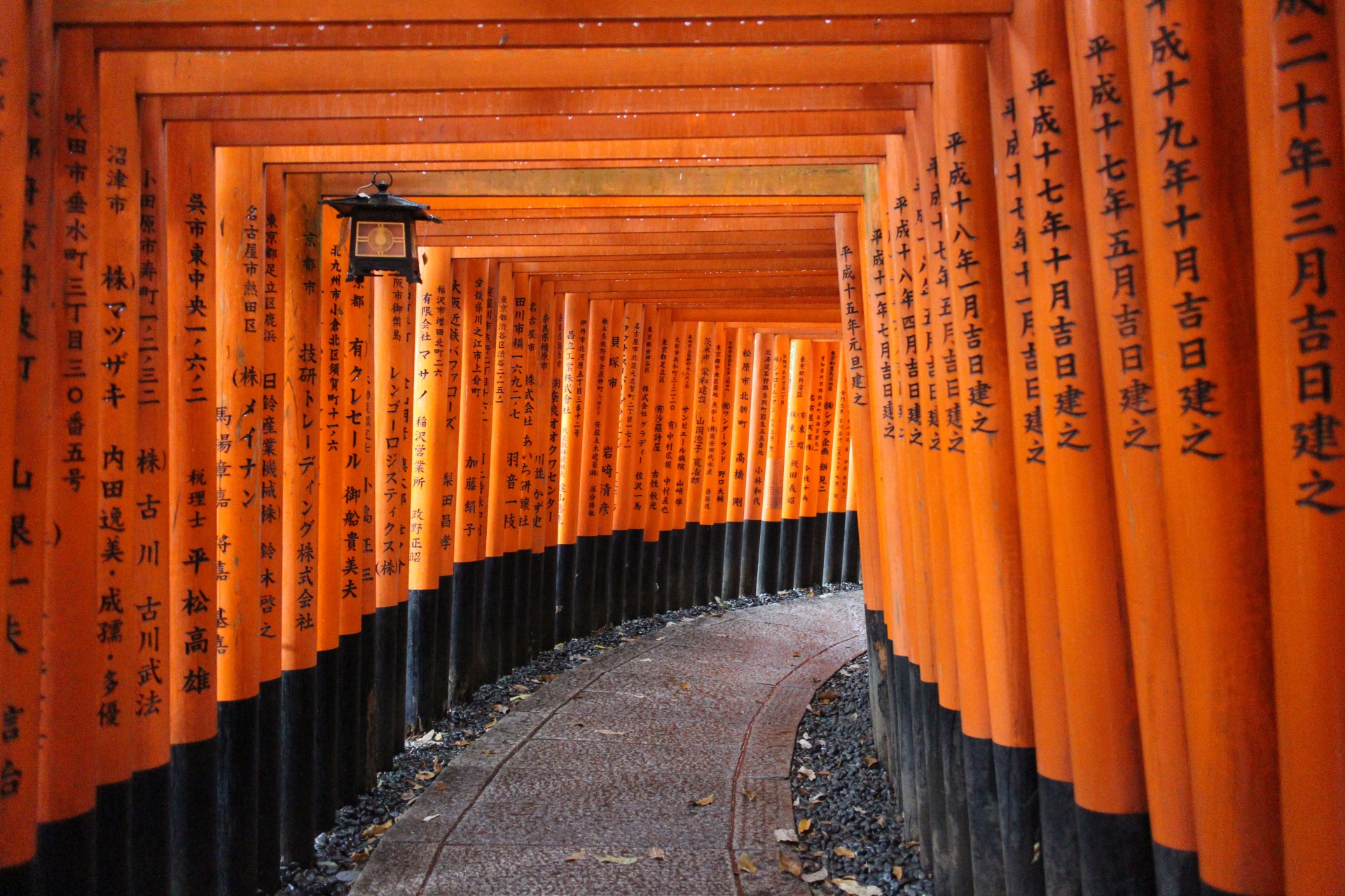 The Legacy Of The Samurai History Culture And Modern Influence The Legacy Of The Samurai History Culture And Modern Influence