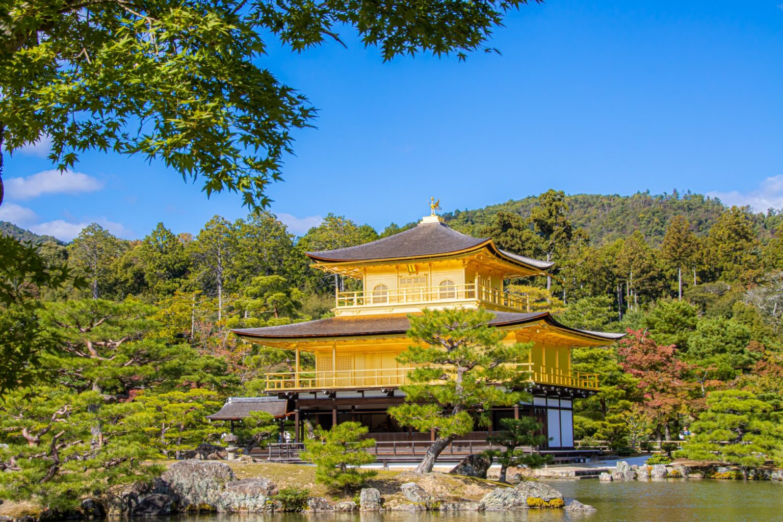 understanding-washoku-the-essence-of-traditional-japanese-cuisine