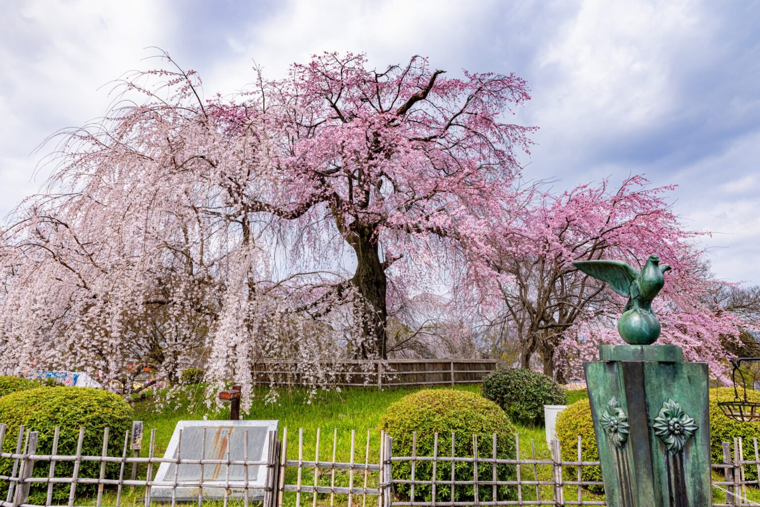 Top Cherry Blossom Viewing Spots in Japan: Best Places and Blooming ...
