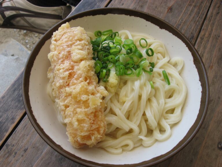 sanuki udon
