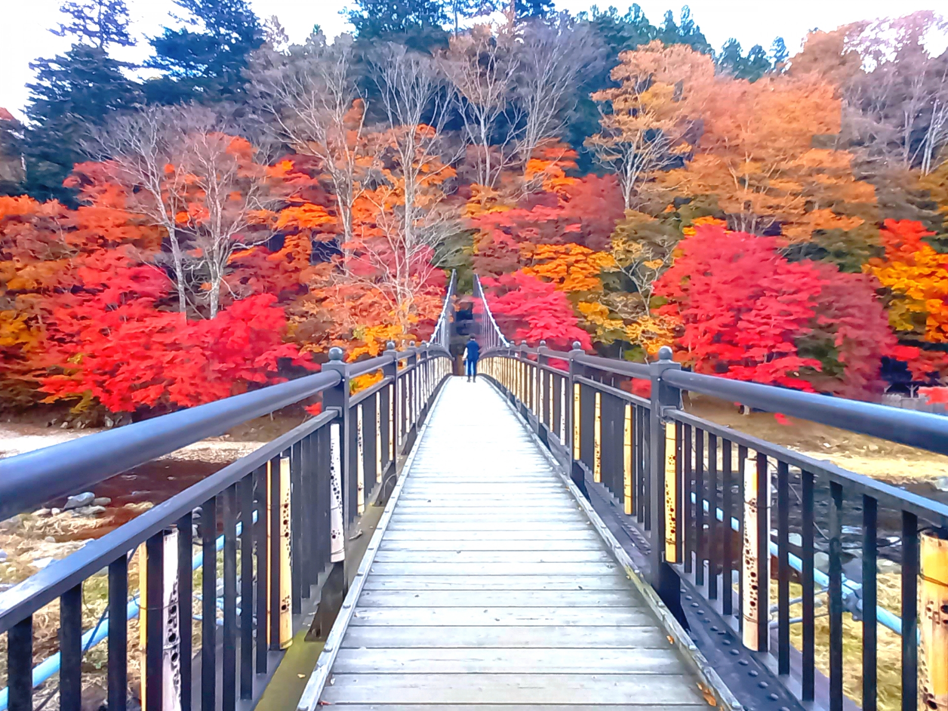 Japani Fall Top Autumn Foliage Spots in Japan (2025 Edition): Where and When to See ...