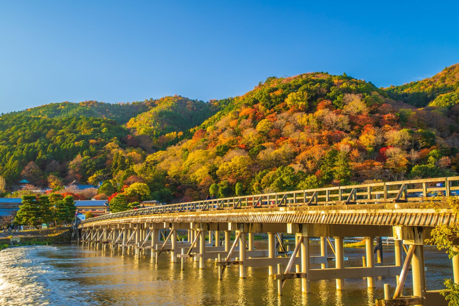 Top Autumn Foliage Spots in Japan (2025 Edition): Where and When to See ...