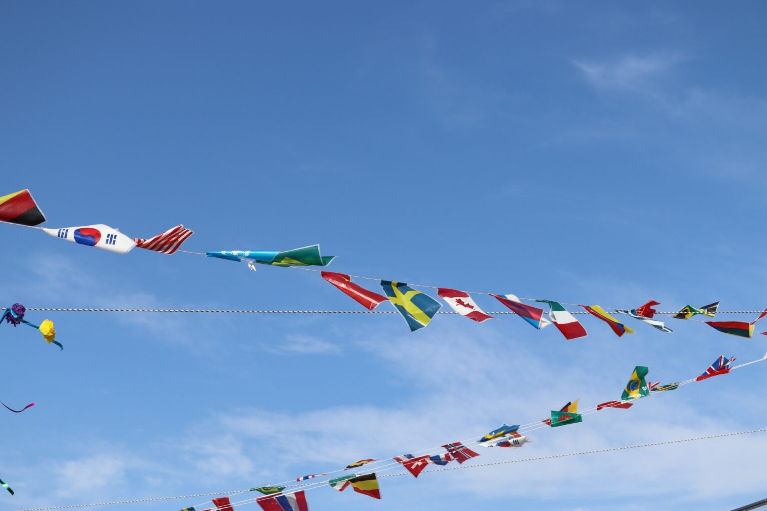 Understanding And Using Itadakimasu A Deep Dive Into Japanese Dining Understanding And Using Itadakimasu A Deep Dive Into Japanese Dining