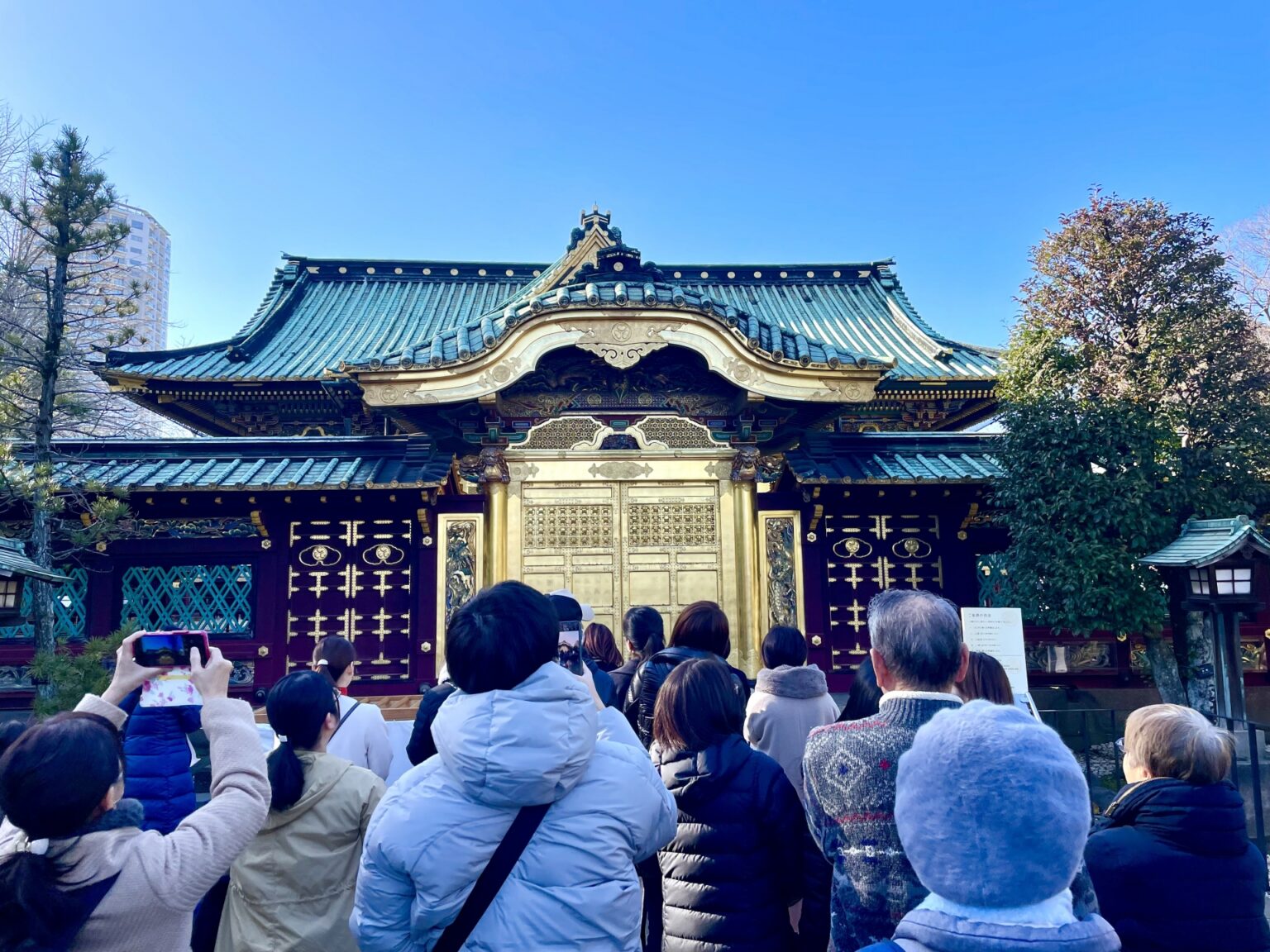 traditional-japanese-tea-ceremony-history-rituals-and-modern