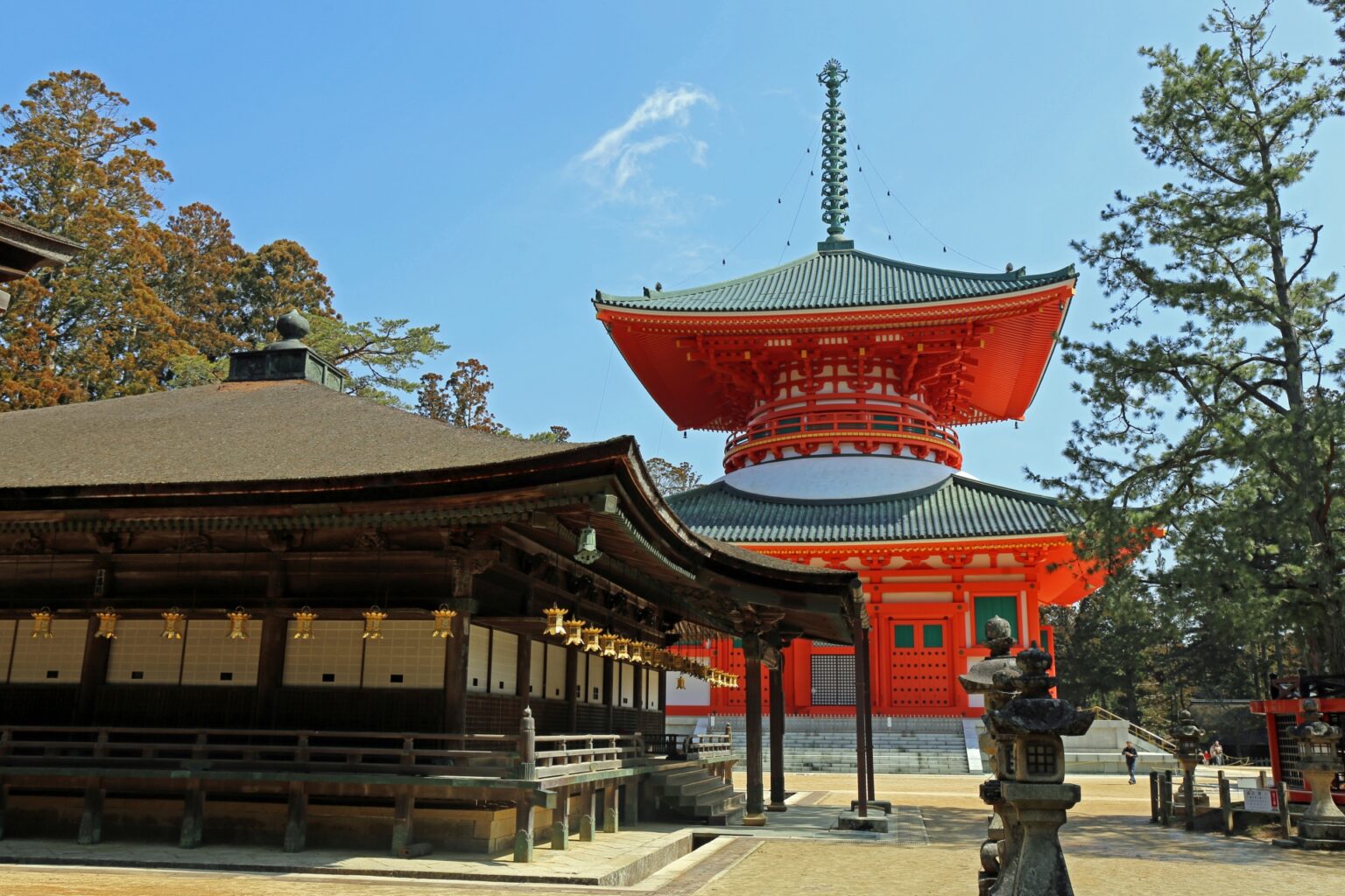 Curated visual reference: Picture Idea: Exploring Suzuka Circuit Japan S Premier Racing Destination