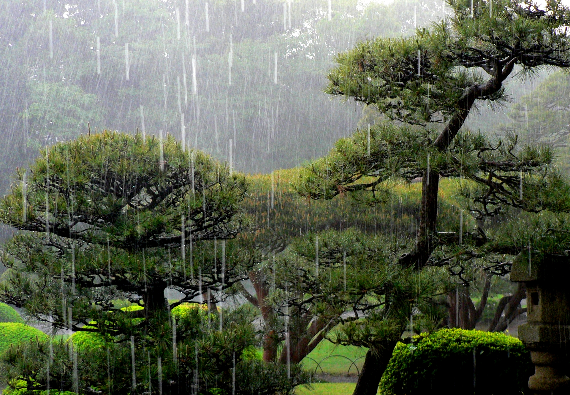 Rainy Season in Japan: Complete Guide (Weather, Travel Tips & Best ...